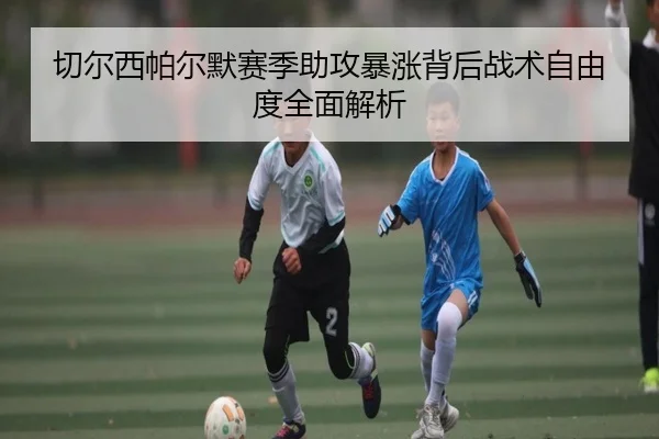 切尔西帕尔默赛季助攻暴涨背后战术自由度全面解析