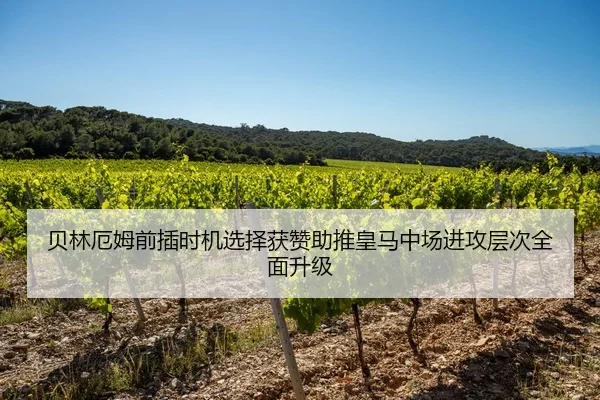 贝林厄姆前插时机选择获赞助推皇马中场进攻层次全面升级
